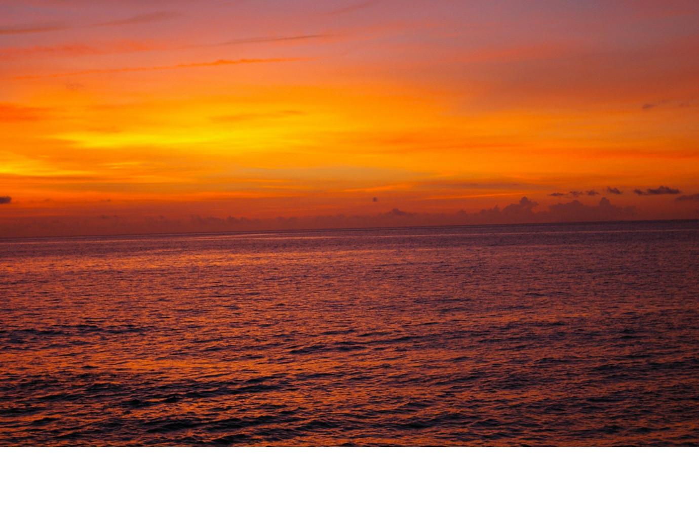 starcorn FM  〜スターコーンエフ・エム〜